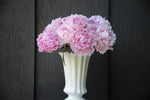 Coming Soon: Locally Grown Peonies