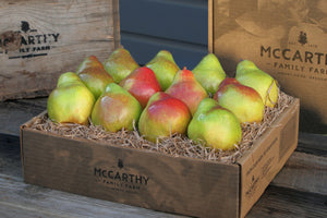 Mount Hood Pears Gourmet Fruit Gift Box